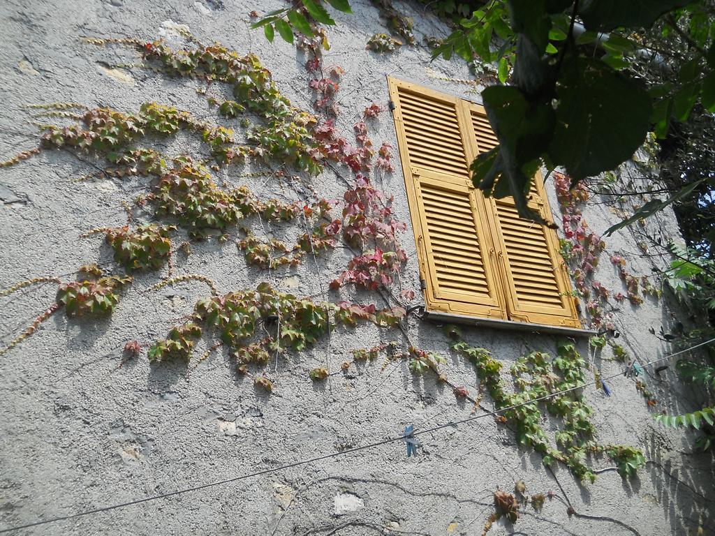 奥尔内拉小屋别墅 热那亚 外观 照片